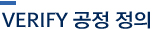 VERIFY공정정의